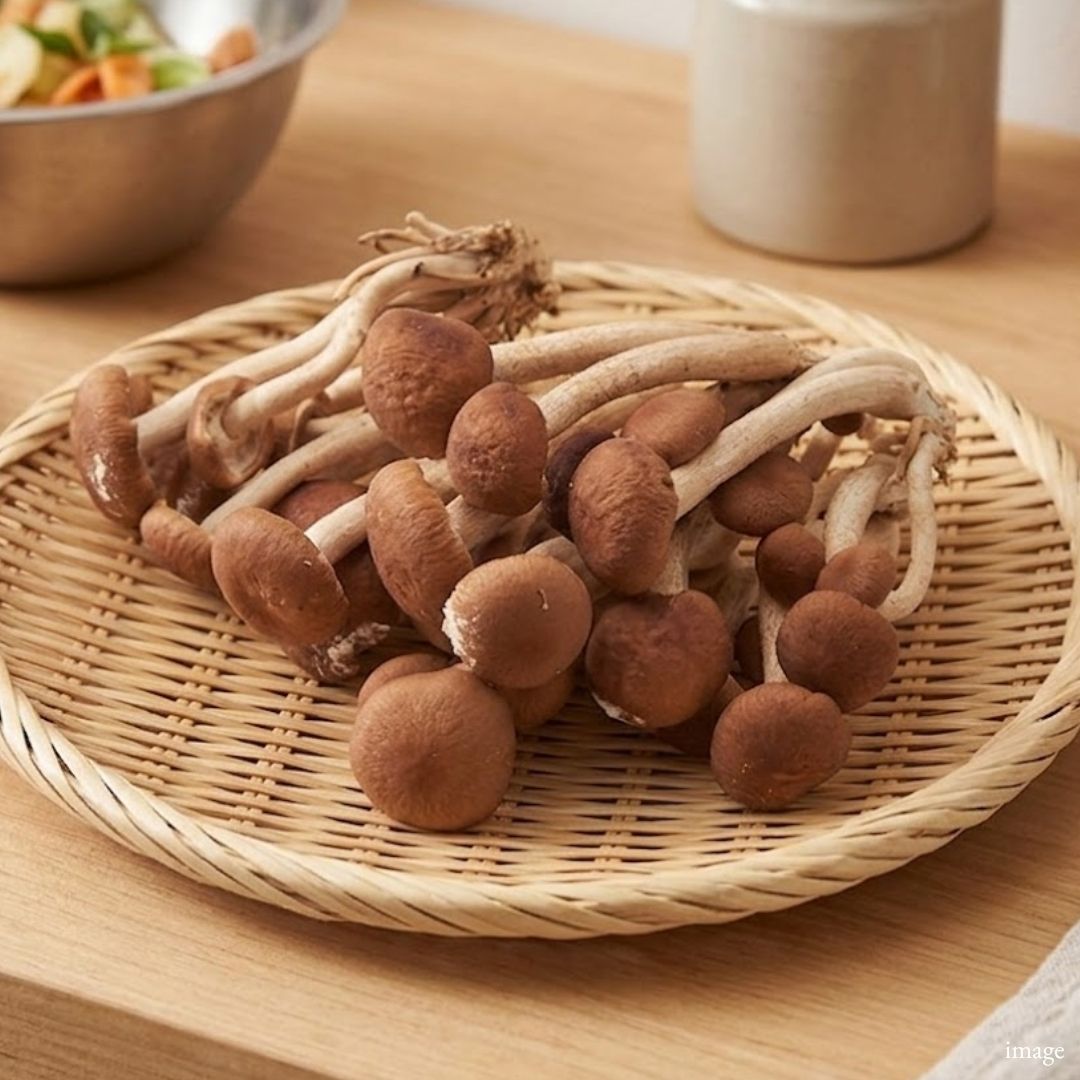 Japanese Yanagi Matsutake Mushroom – Elegant Umami & Crisp Texture | Delicate Aroma | Premium Japanese Mushroom - TFD (Tokyo Fresh Direct)