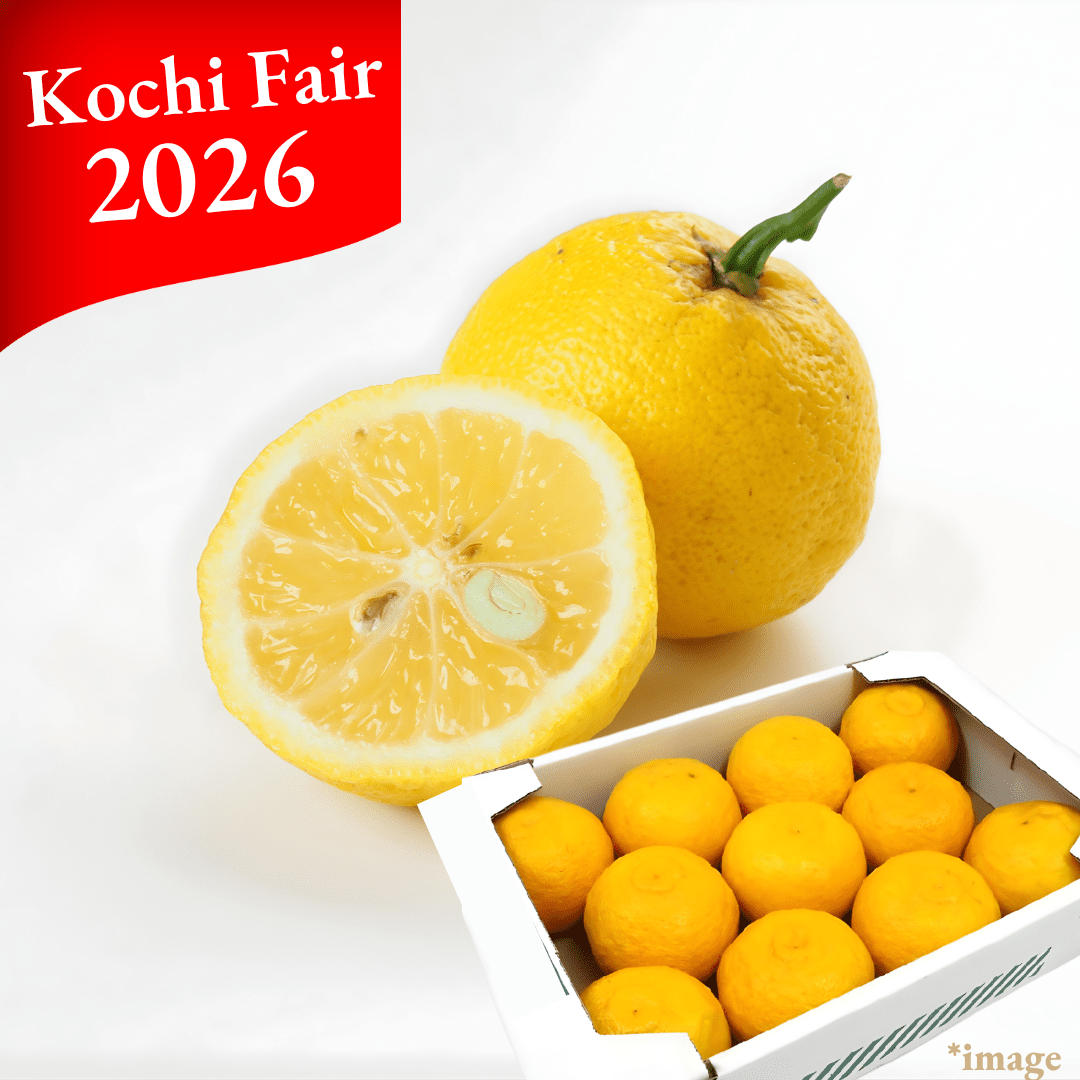 Ki Yuzu (Yellow Yuzu) [Kochi Fair 2016] - Tokyo Fresh Direct