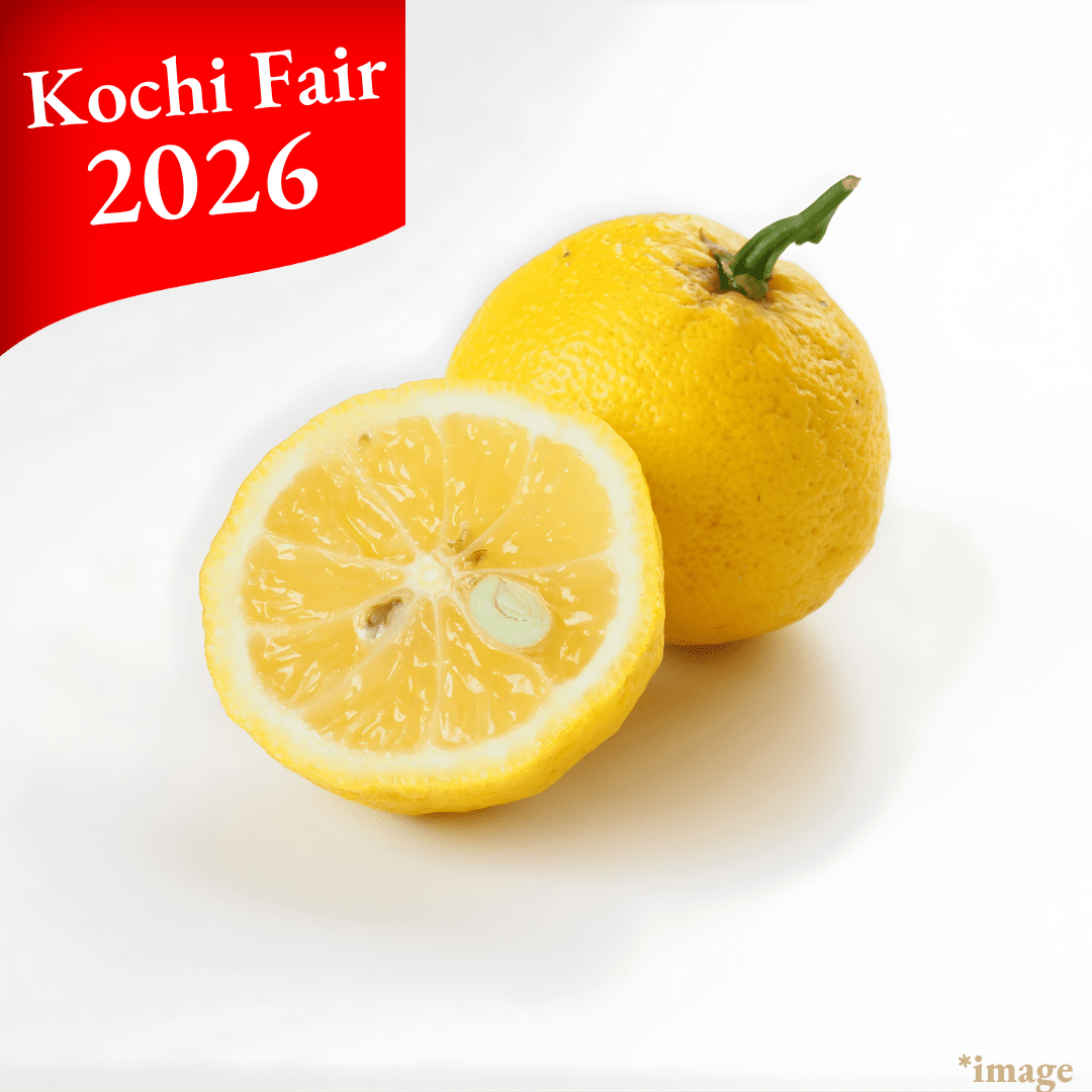Ki Yuzu (Yellow Yuzu) [Kochi Fair 2016] - Tokyo Fresh Direct