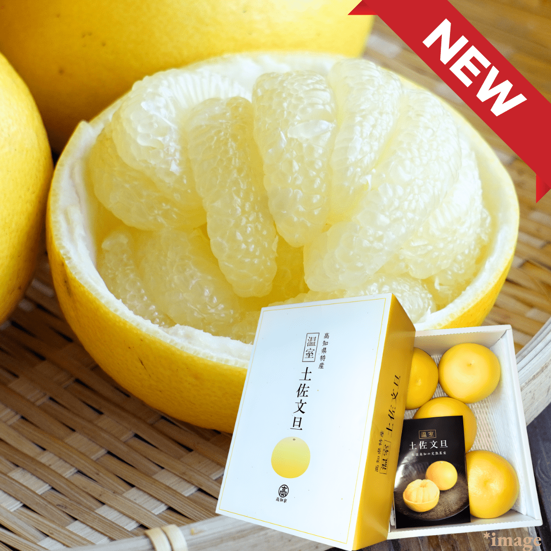 King of Large Citrus "Tosa - Pomelo (High Grade/Giftbox)", The Sun’s Blessing of Kochi, 3kg/5kg(5 - 7pcs) | Delivery: 9th - 17th Jan - Tokyo Fresh Direct