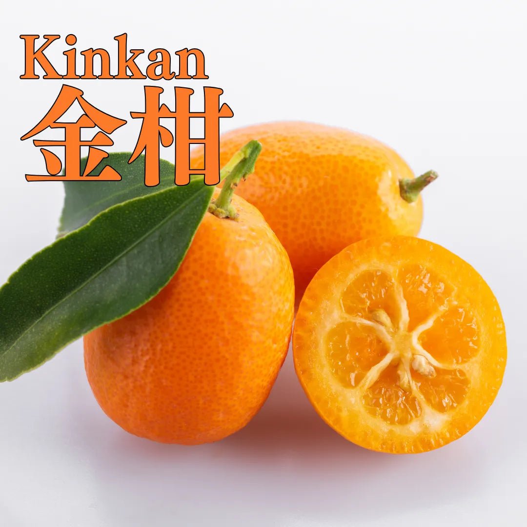 Kinkan "Tamatama" Excellent (Kumquat) 250g/pack from Miyazaki [Delivery between 7th~8th Feb] - Tokyo Fresh Direct