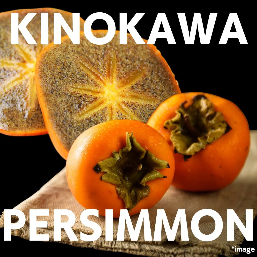 "Kinokawa Persimmon (Prestigious Grade)"approx.##g/2pc Exquisite, highly - selected persimmons from Wakayama [Delivery between 25th~26th Oct] - Tokyo Fresh Direct