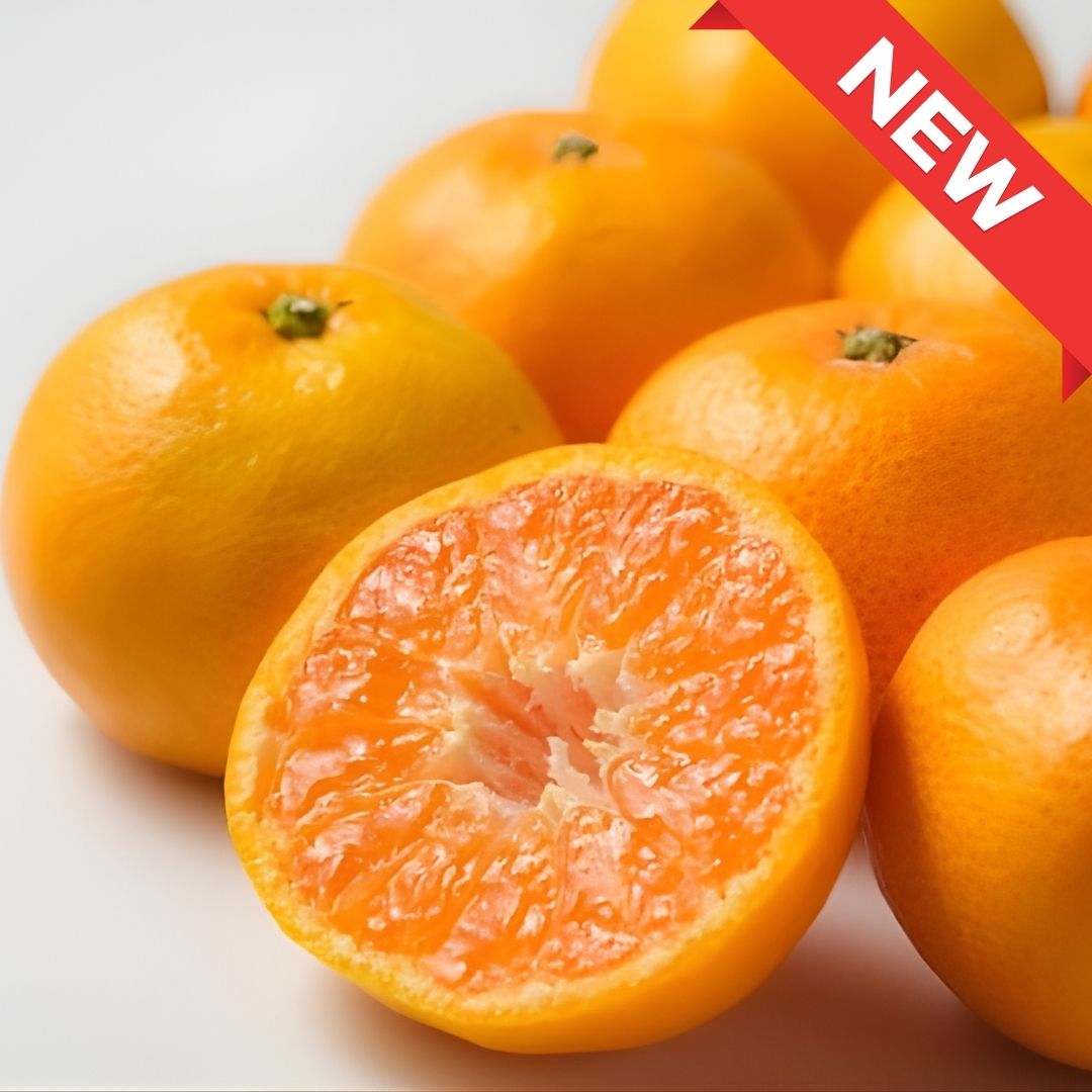 "Kitahara Mild 130 (High Grade)",Extra - Sweet Mikan, Ripened for 130 Days to Concentrate Its Natural Nutrients, (S size /500g+) | Delivery: 7th - 8th Nov - Tokyo Fresh Direct