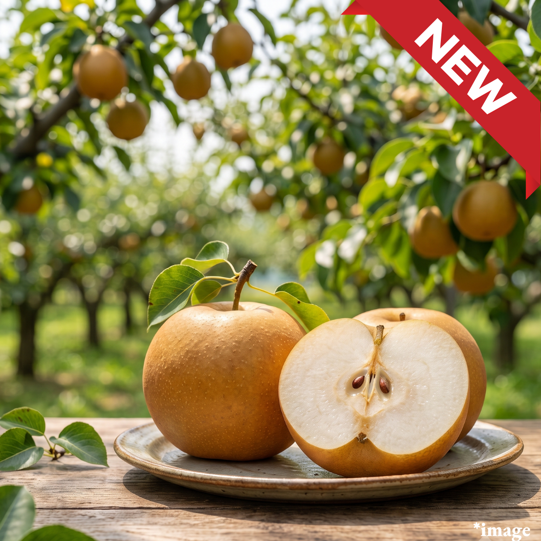 "Kosui (3L-size/High Grade)", One of the “Three Great Sweet Pears”, Juicy, Sweet, and Bursting with Flavor, Approx.600g+(2pcs)| Delivery: 14th~22th Aug - TFD (Tokyo Fresh Direct)