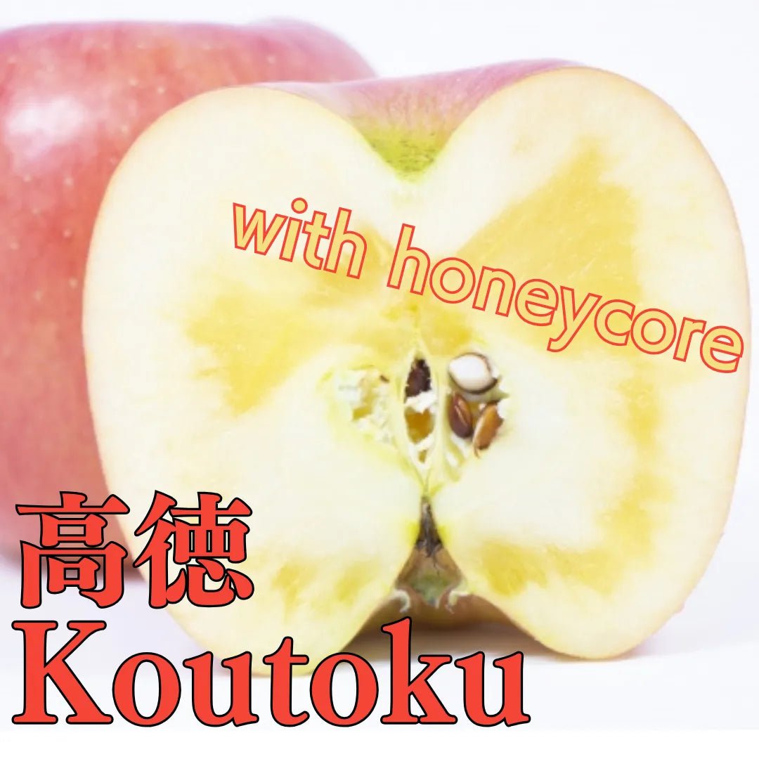 "Koutoku (High Grade)" approx.500g/2pc, Petite apples with a honeycore and an elegant aroma, from Yamagata [Delivery between 6th~7th Dec] - Tokyo Fresh Direct