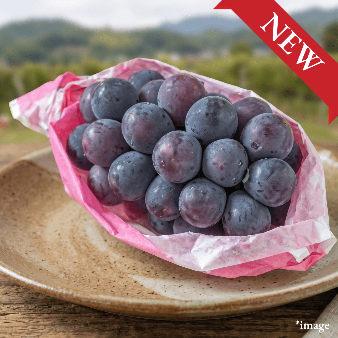 "Kyho (4L-size/High Grade), Japan’s Classic Black Grape, Approx.600g, [Nagano Fair 2026] | Delivery: 18th-19th Sep - TFD (Tokyo Fresh Direct)