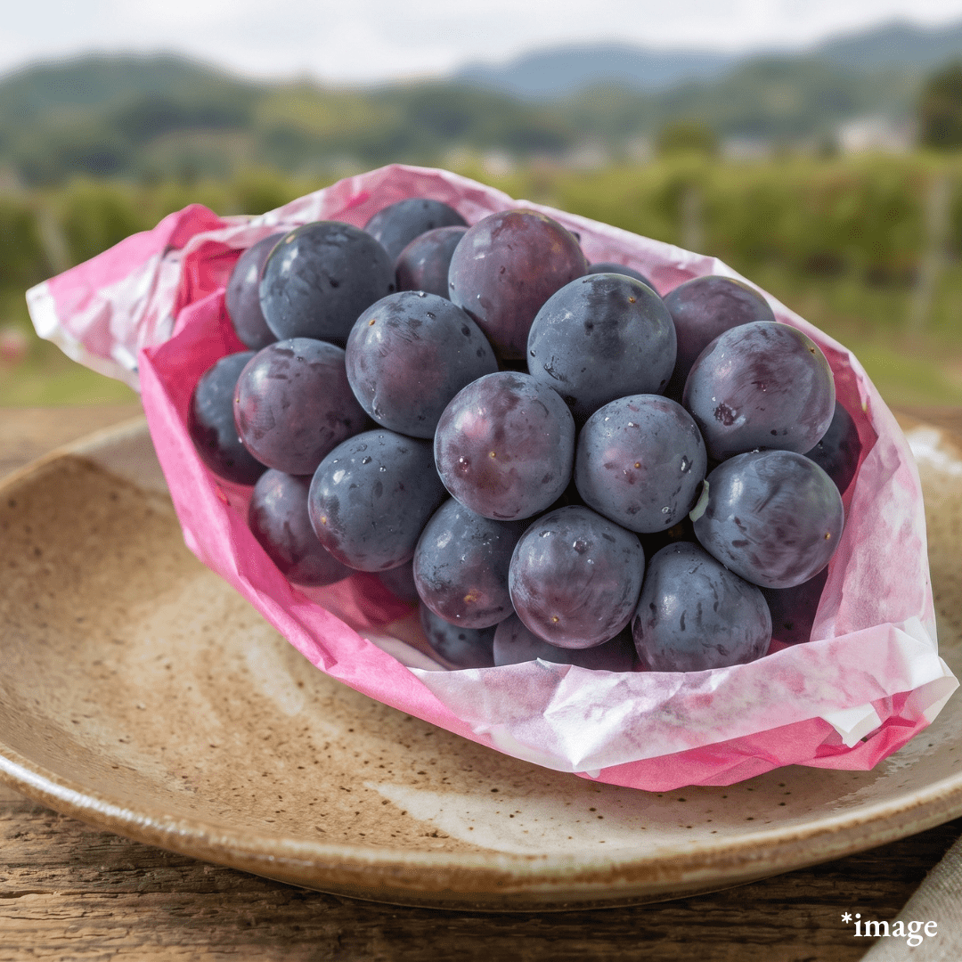 "Kyho (4L-size/High Grade), Japan’s Classic Black Grape, Approx.600g, [Nagano Fair 2026] | Delivery: 18th-19th Sep - TFD (Tokyo Fresh Direct)