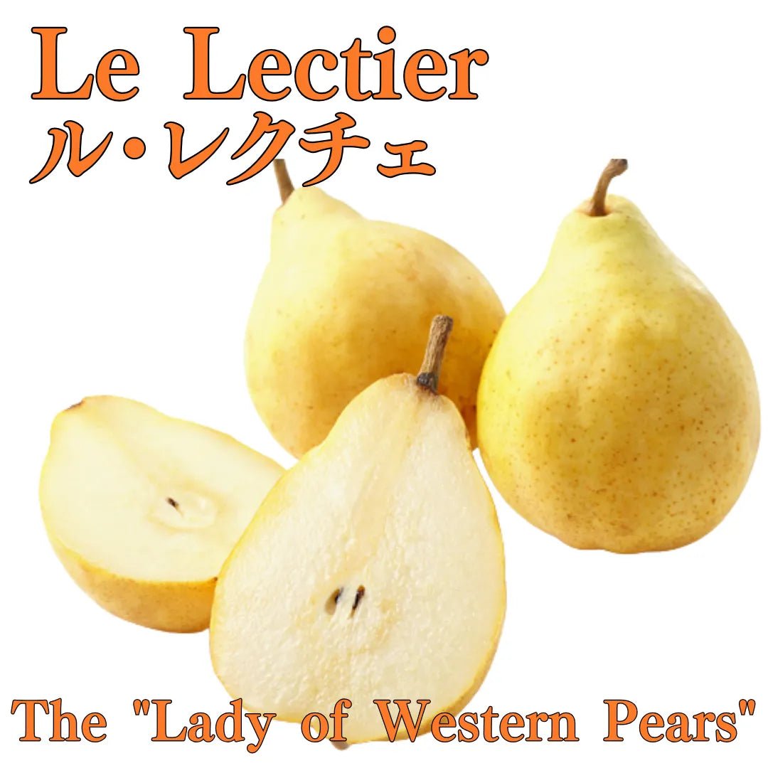 "Le Lectier (High Grade)" approx.600g/2pc, A rare, high quality pear. Known as the "Lady of Western Pears" from Niigata [Delivery between 13th~14th Dec] - Tokyo Fresh Direct