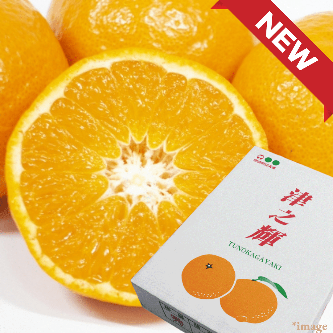 Limited to 10 boxes "Tsu - no - Kagayaki (High Grade/Giftbox)", High - Brix Mikan from Miyazak, 2kg(9 - 12pcs) | Delivery: 16th - 17th Jan - Tokyo Fresh Direct