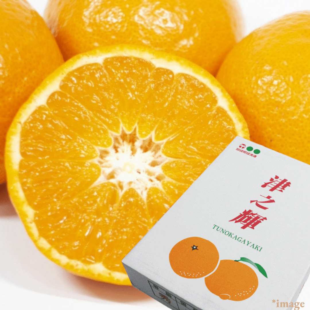 Limited to 10 boxes "Tsu - no - Kagayaki (High Grade/Giftbox)", High - Brix Mikan from Miyazak, 2kg(9 - 12pcs) | Delivery: 16th - 17th Jan - Tokyo Fresh Direct