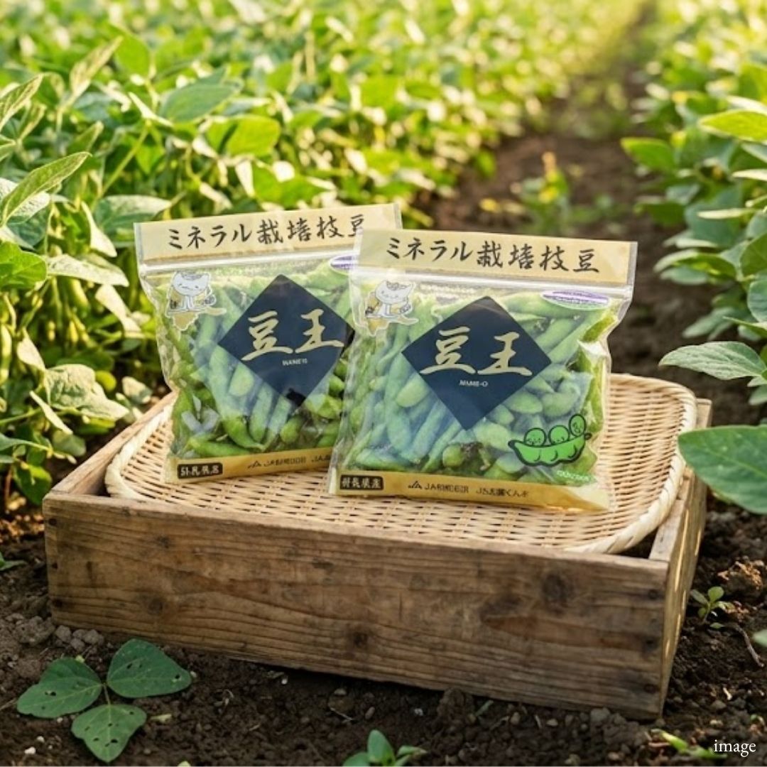 Mame-Ou Edamame (Gunma) – Premium Highland Edamame with Exceptional Sweetness & Flavor 250g × 2 Packs (500g) - TFD (Tokyo Fresh Direct)