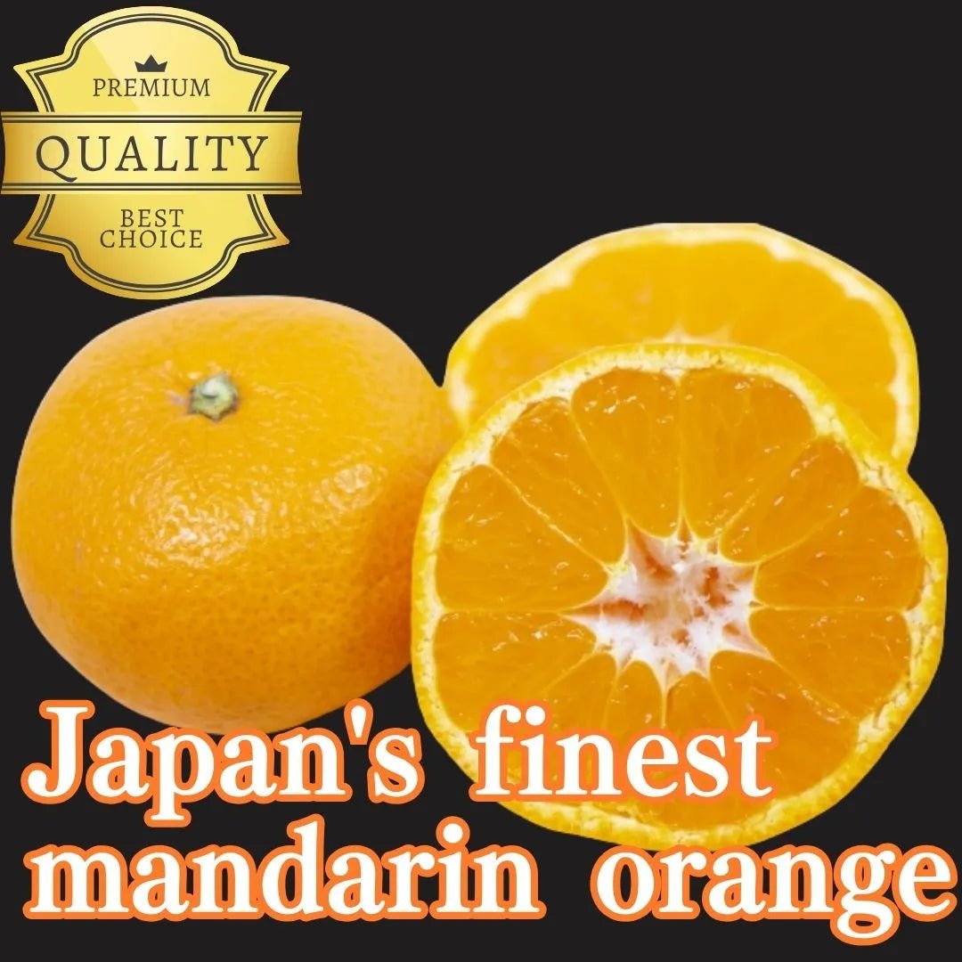 "Mikkabi Mikan - HOMARE - (Highest Grade)", approx.500g, Japan's Finest Mandarin Orange from Shizuoka [Delivery between 21th~22th Mar] - Tokyo Fresh Direct