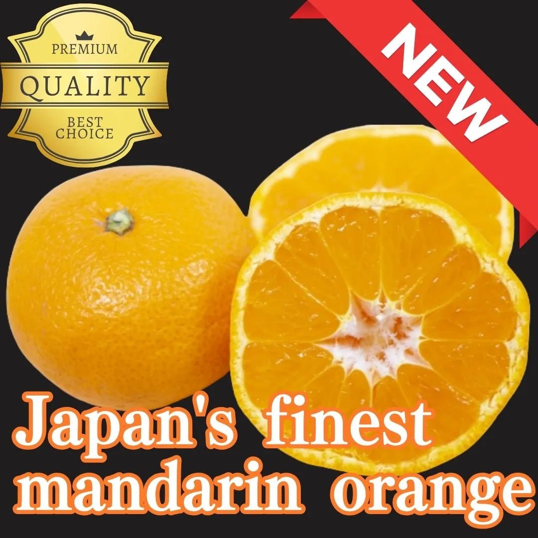 "Mikkabi Mikan - HOMARE - (Highest Grade)", approx.500g, Japan's Finest Mandarin Orange from Shizuoka [Delivery between 21th~22th Mar] - Tokyo Fresh Direct