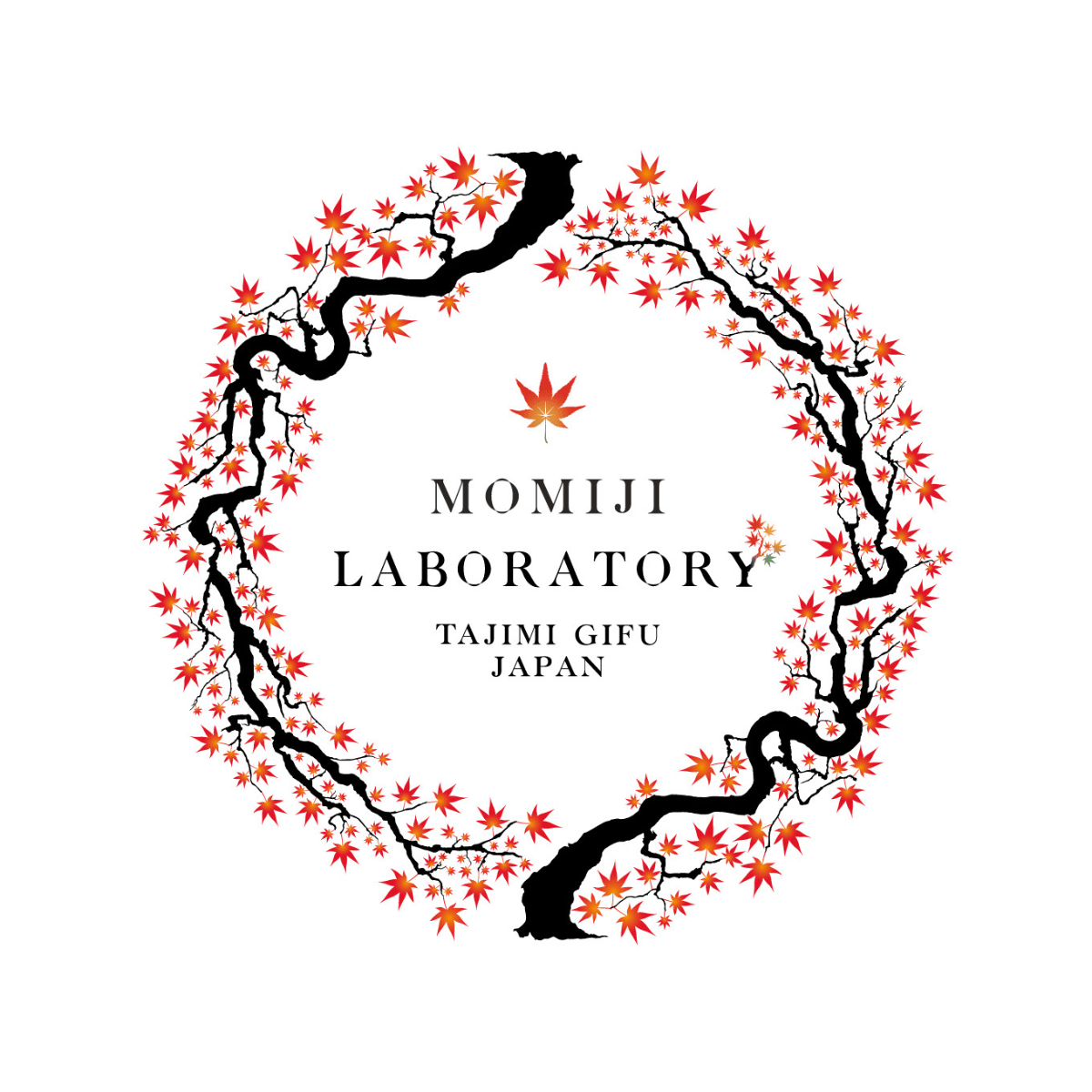 MOMIJIKAEDE Momiji Japanese Maple Botanical Sparkle - Tokyo Fresh Direct