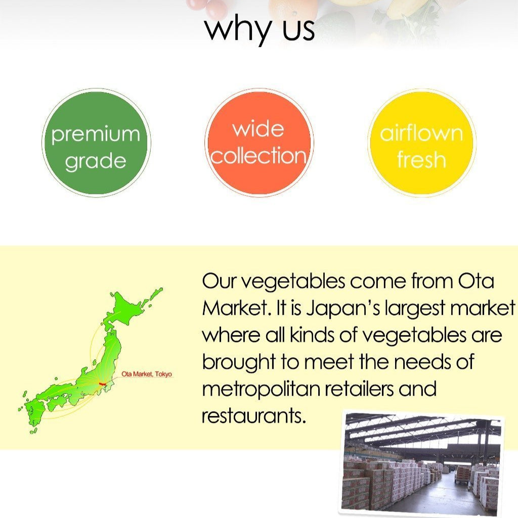 Myoga Japanese Ginger Flower - Tokyo Fresh Direct