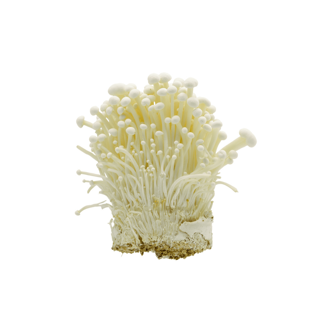 Nagano Enoki Mushroom 1pack (approx. 200g) | Delivery: 12th~13th Sep - Tokyo Fresh Direct
