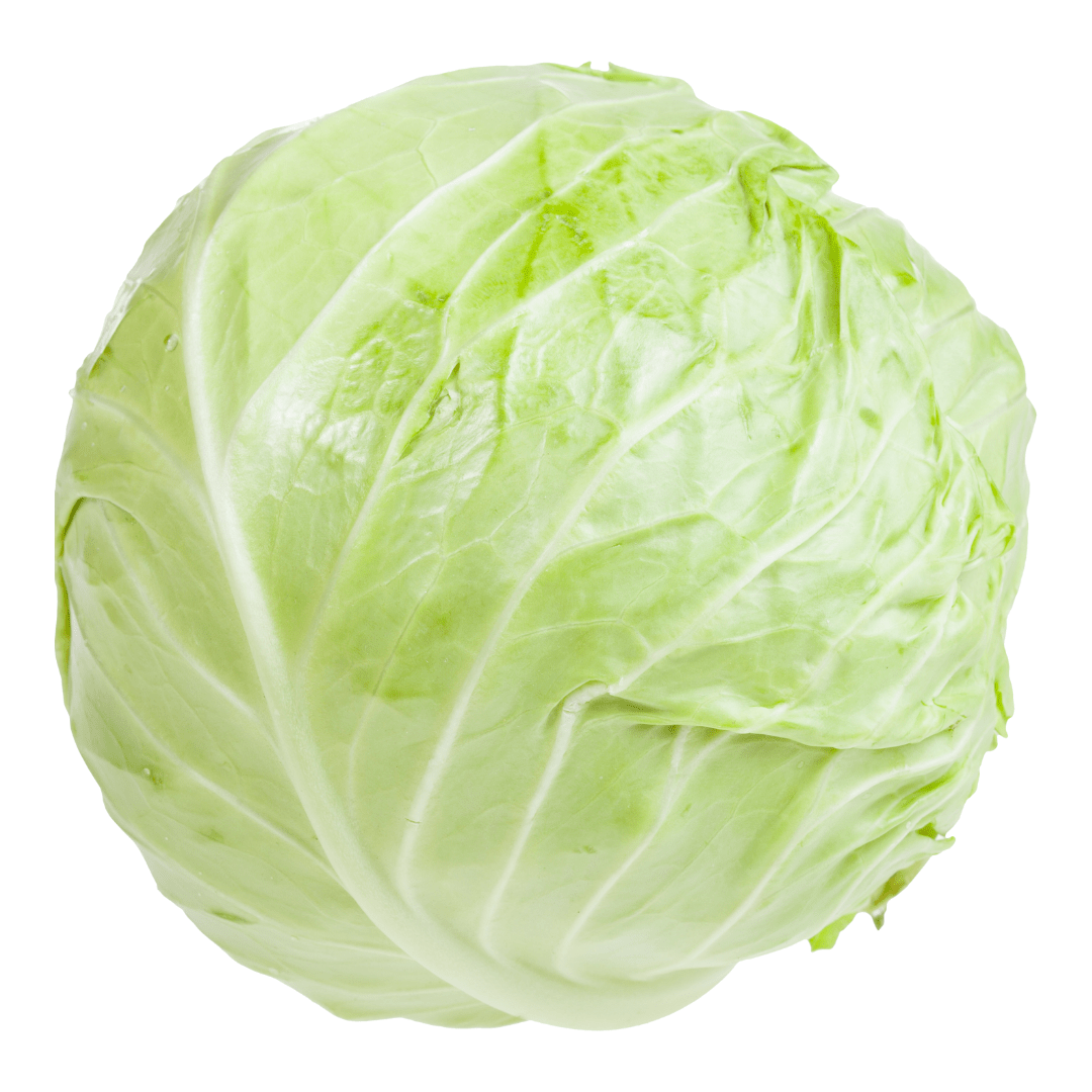 Nagano Highland Sweet Cabbage (approx. 1kg) | Delivery: 12th~13th Sep - Tokyo Fresh Direct