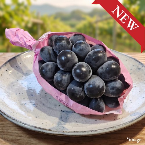 "Nagano Purple (3L-size/High Grade), Nagano’s Signature Black Grape with Rich Sweetness & Crisp Skin-On Bite, Approx.500g, [Nagano Fair 2026] | Delivery: 18th-19th Sep - TFD (Tokyo Fresh Direct)