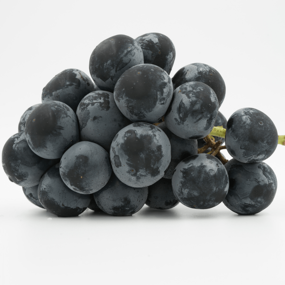 Nagano Purple from Nagano approx.400g | Delivery: 12th~13th Sep - Tokyo Fresh Direct