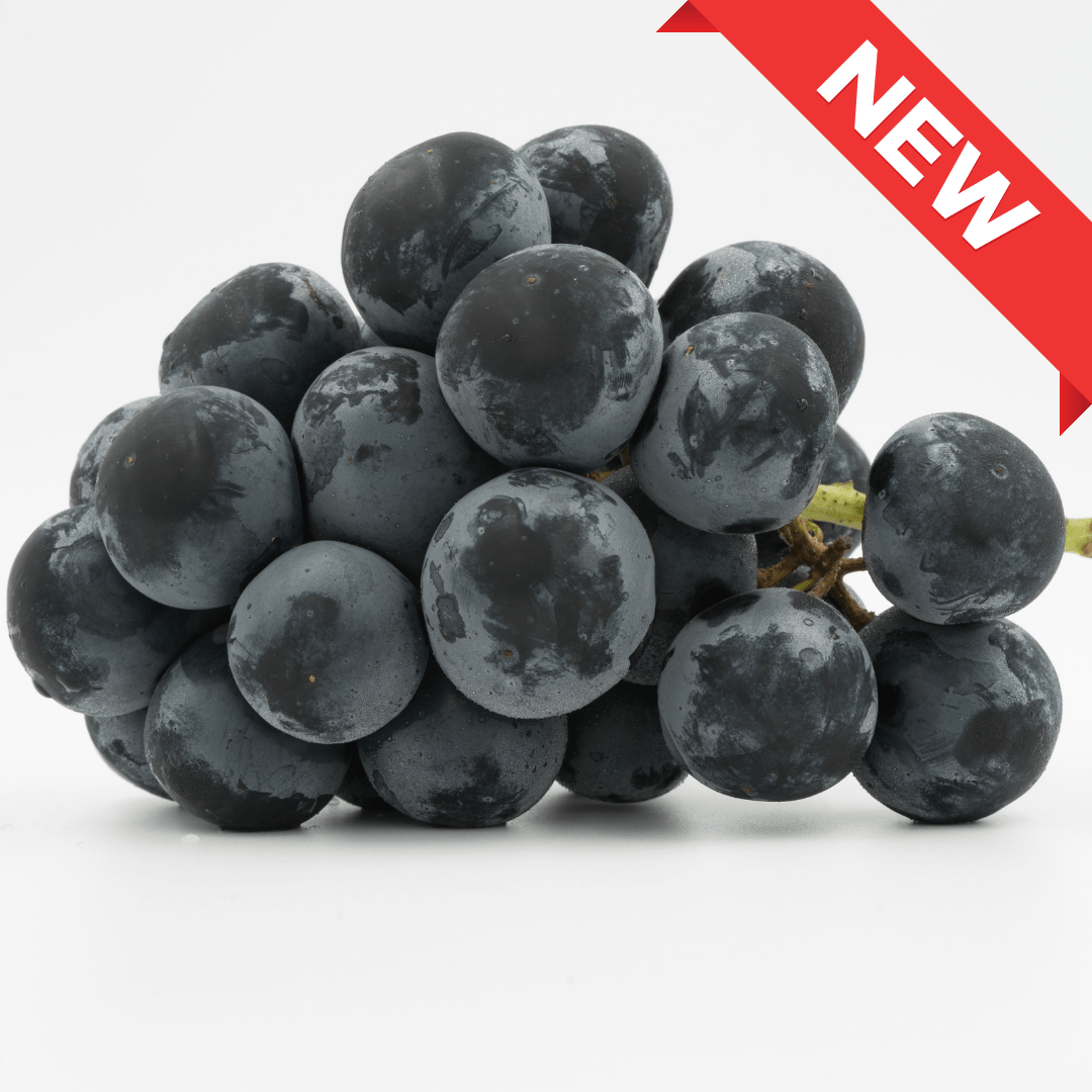 Nagano Purple from Nagano approx.400g | Delivery: 12th~13th Sep - Tokyo Fresh Direct