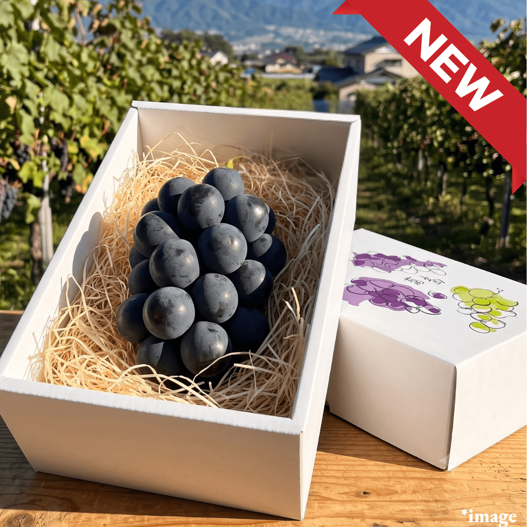 "Nagano Purple (Giftbox/3L-size/High Grade)", Early-Season, The Black Jewel of Nagano’s Three Grape Sisters, Approx.500g | Delivery: 31th Jul~1st Aug - TFD (Tokyo Fresh Direct)