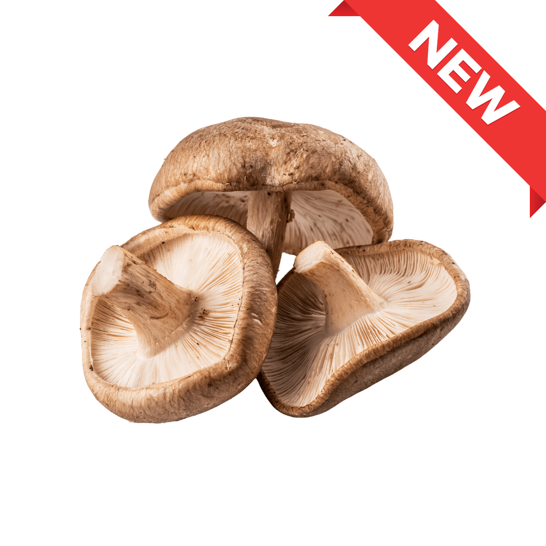 Nagano Shiitake mushroom 1pack (approx. 100g) | Delivery: 12th~13th Sep - Tokyo Fresh Direct