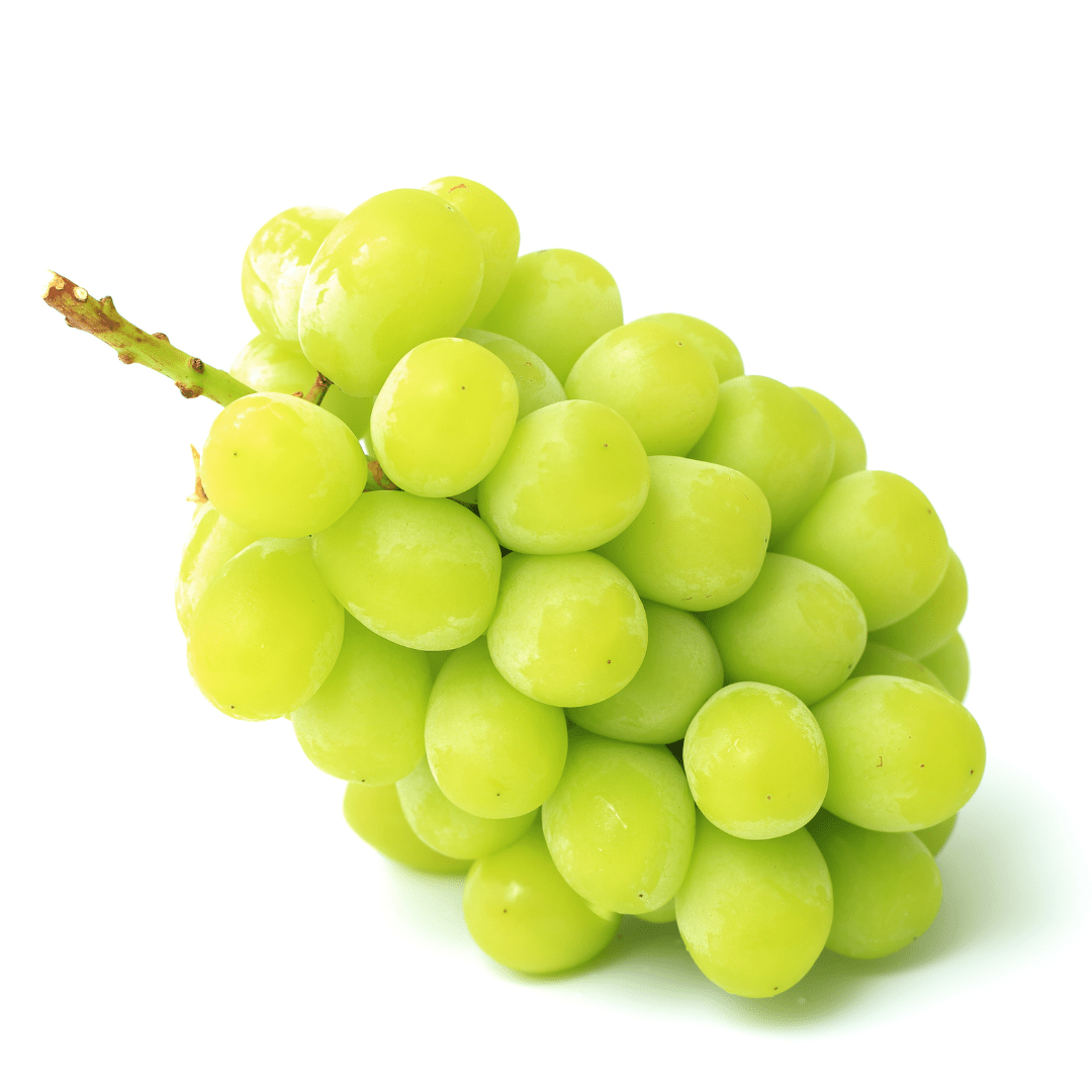 Nagano Shine Muscat (approx.500g) | Delivery: 12th~13th Sep - Tokyo Fresh Direct