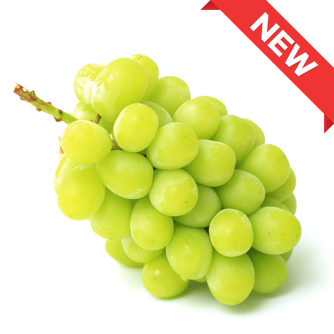 Nagano Shine Muscat (approx.500g) | Delivery: 12th~13th Sep - Tokyo Fresh Direct