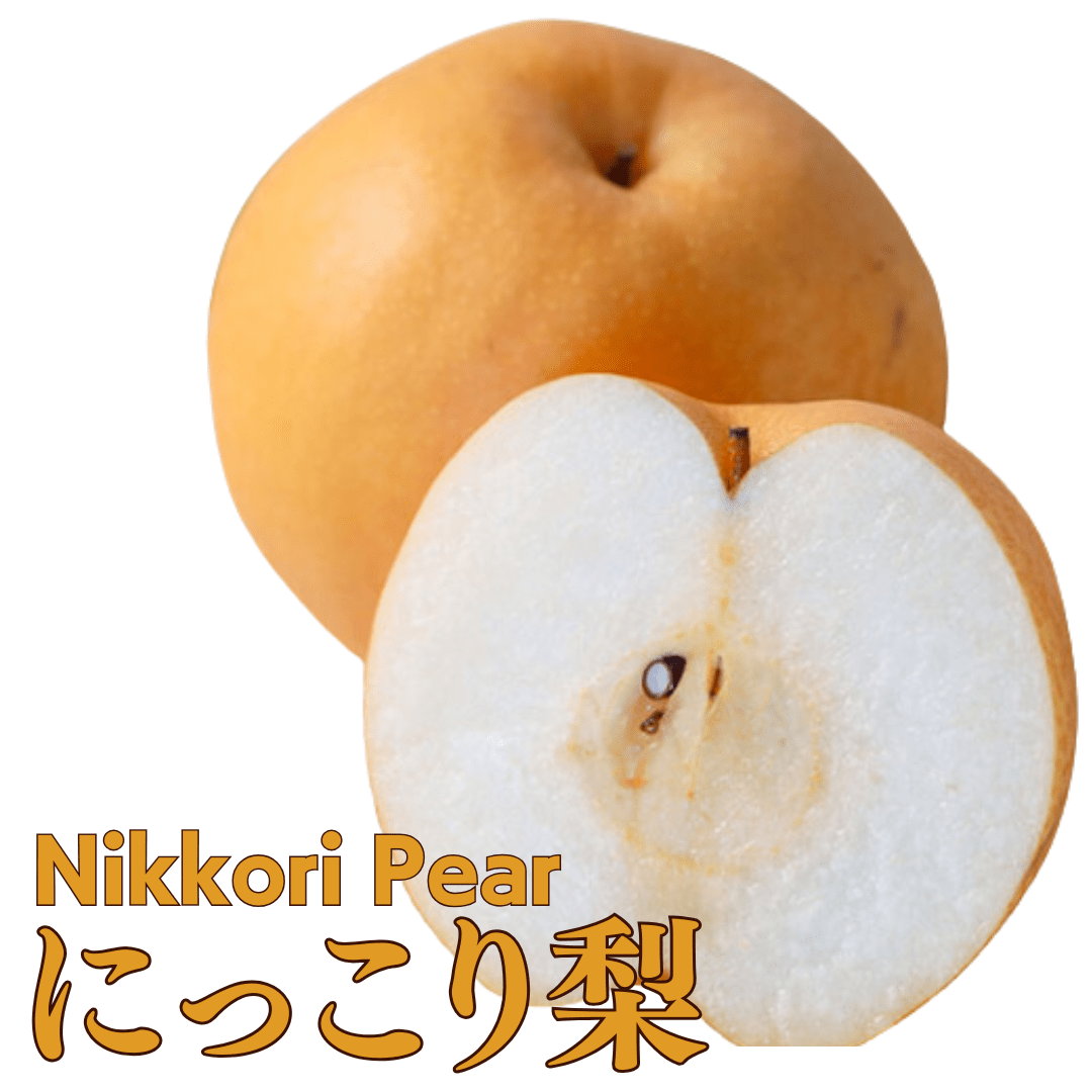 "Nikkori Pear (Highest Grade)" approx.600g - A large, juicy japanese pear with a strong sweetness, from Ibaraki [Delivery between 15th~16th Nov] - Tokyo Fresh Direct