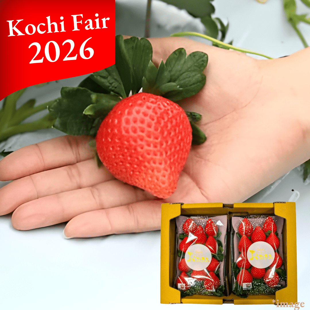 "Okimi (High Grade)", Kochi Premium Strawberry, Approx.500g(2packs) | Delivery: 6th - 7th Feb [Kochi Fair 2026] - Tokyo Fresh Direct