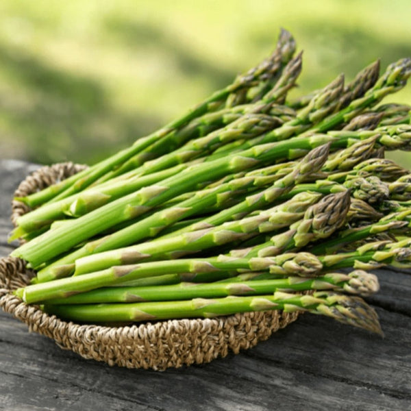 Peak Season Asparagus 100g - Spring Harvest - TFD (Tokyo Fresh Direct)