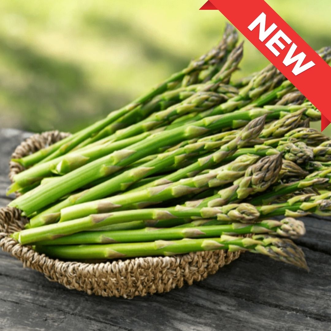 Peak Season Asparagus 100g - Spring Harvest - TFD (Tokyo Fresh Direct)