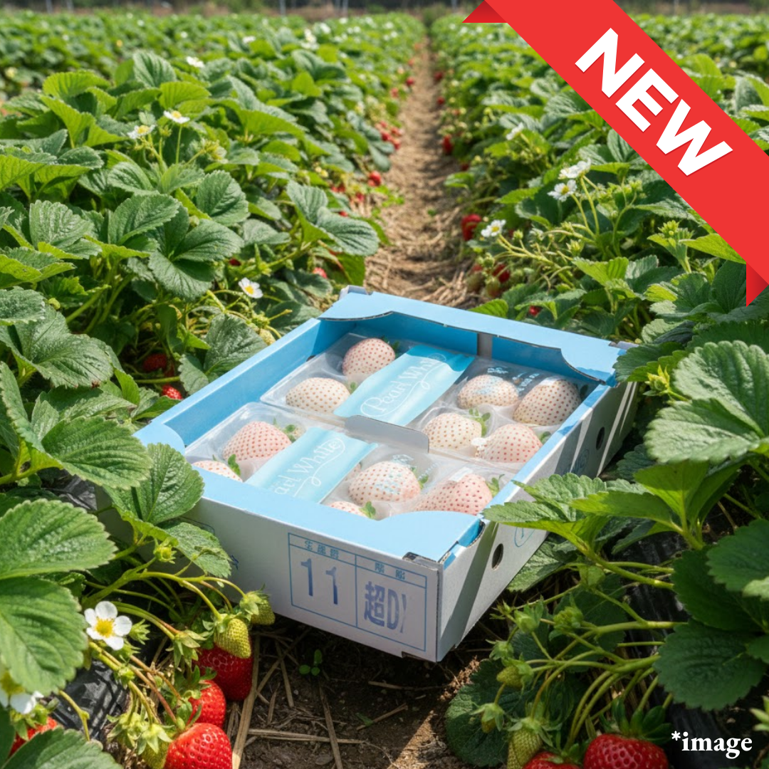 Pearl White Strawberry (High Grade)", Approx.220g | Delivery: 31th Jan [Valued Members’ Exclusive Ultra - Rare Fruits] - Tokyo Fresh Direct