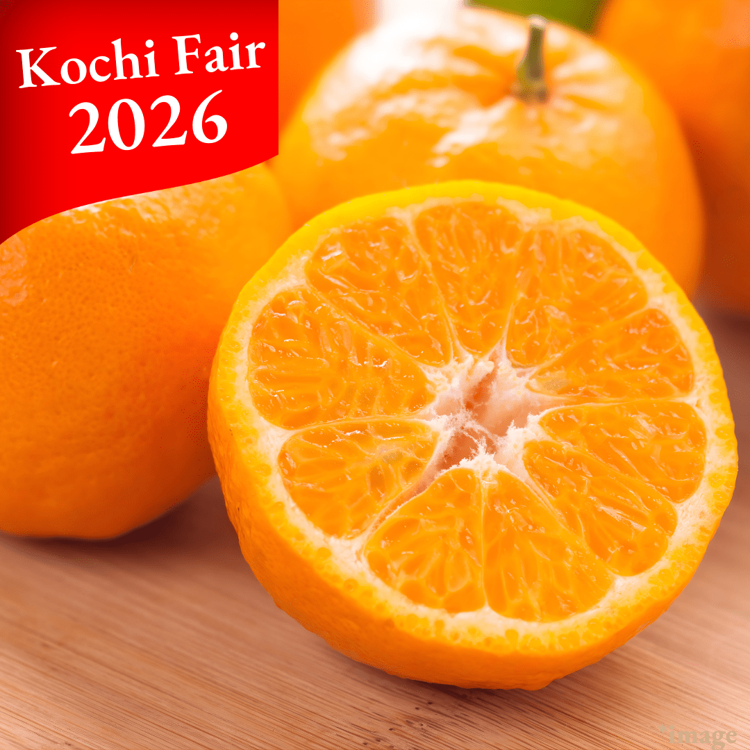 ”Ponkan Orange(High Grade/M - L size)”, Approx.500g | Delivery: 6th - 7th Feb [Kochi Fair 2026] - Tokyo Fresh Direct
