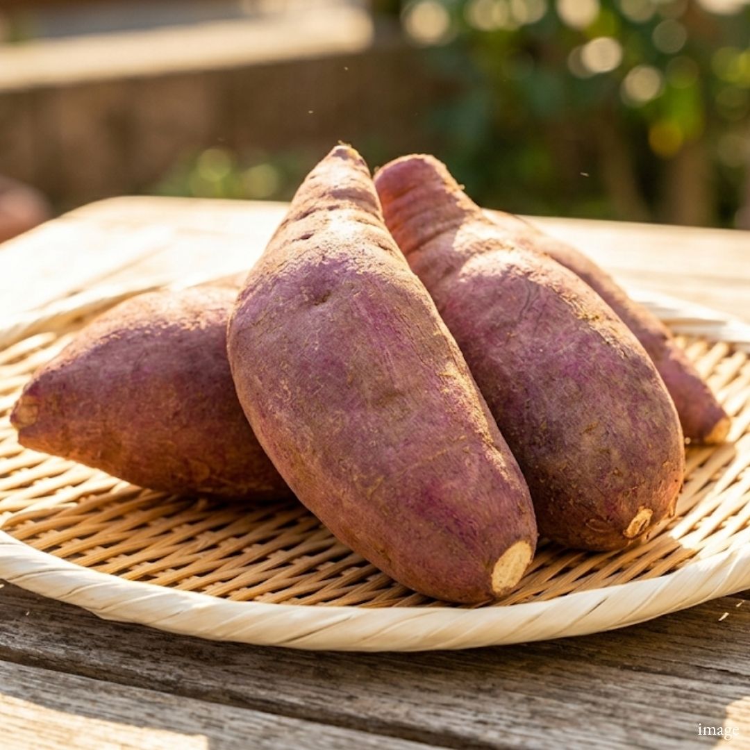 Premium Beni Haruka Sweet Potato – Japan's Finest Sweet Potato Approx. 500g - TFD (Tokyo Fresh Direct)