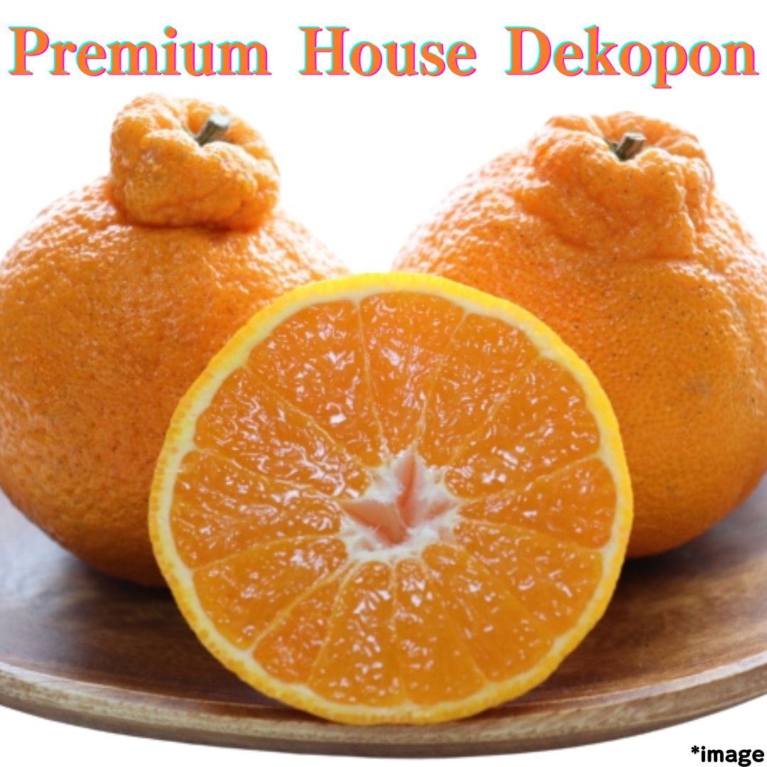 "Premium House Dekopon (Top Grade / 14° Brix or more )", higher brix standard than regular Dekopon from Kumamoto [Delivery between 21th~22th Feb] - Tokyo Fresh Direct