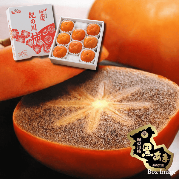 Premium Kinokawa Persimmon "Kuroama (Brand Fruits)", Premium sweet persimmon from Japan’s finest growing region, (size 4L 2pcs / approx.600g) | Delivery: 23th~24th Oct - TFD (Tokyo Fresh Direct)