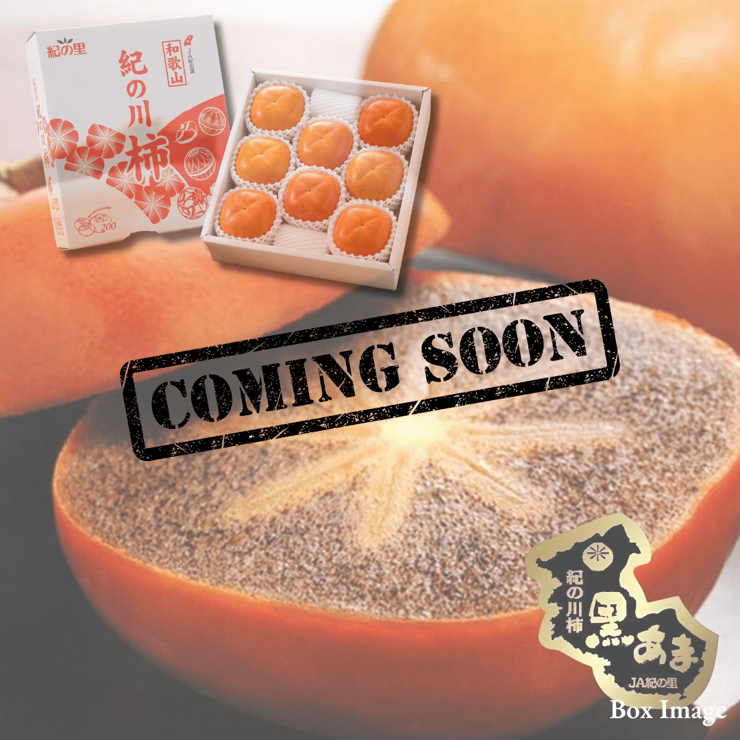 Premium Kinokawa Persimmon "Kuroama (Brand Fruits)", Premium sweet persimmon from Japan’s finest growing region, (size 4L 2pcs / approx.600g) | Delivery: 23th~24th Oct - TFD (Tokyo Fresh Direct)