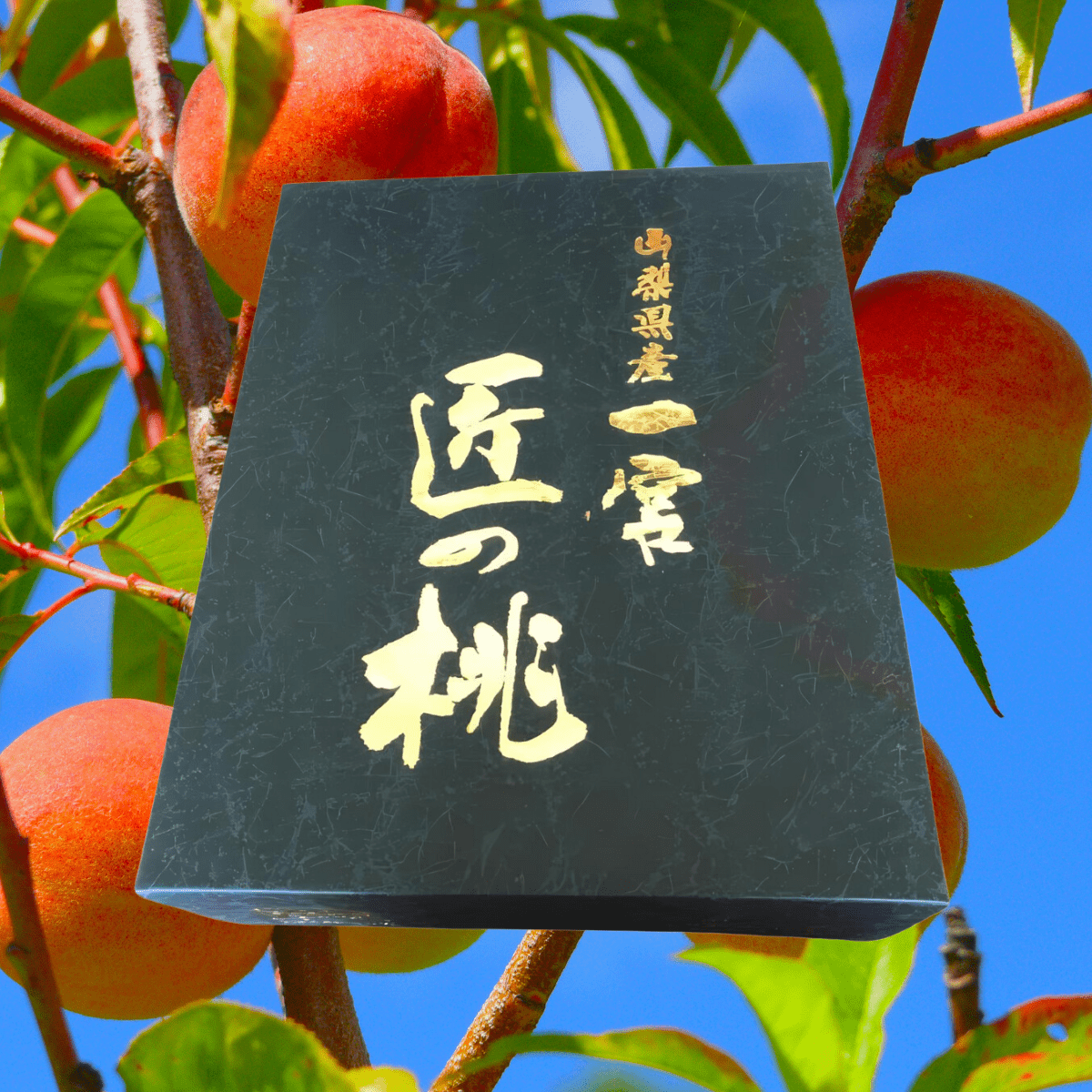 Premium peaches "Takumi no Peach"(about 2 kg in a decorative box)/ [2 - 3rd Aug Delivery] - Tokyo Fresh Direct