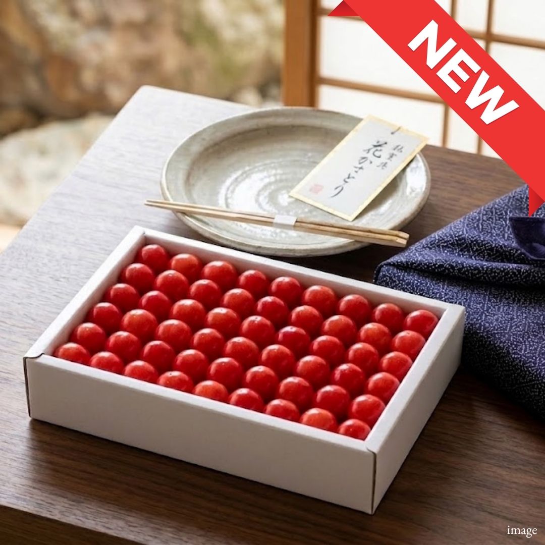 Premium Yamagata Sato Nishiki Cherries Gift Box – Japan's Finest Cherry Approx. 500g | Delivery: 3rd-4th July - TFD (Tokyo Fresh Direct)