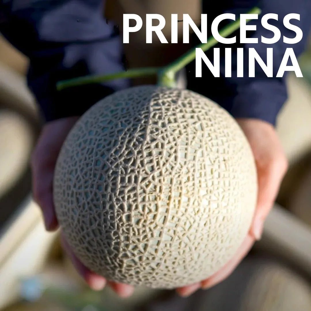 ”Princess Niina Gift Box" from Kochi [Delivery between 25th~26th Oct] - Tokyo Fresh Direct