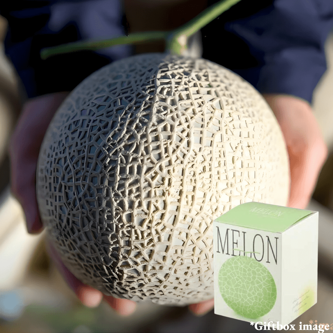 ”Princess Nina (Top Garde)", Premium blanded melon from Kochi, Approx.1.5kg | Delivery: 27th - 28th Mar - TFD (Tokyo Fresh Direct)