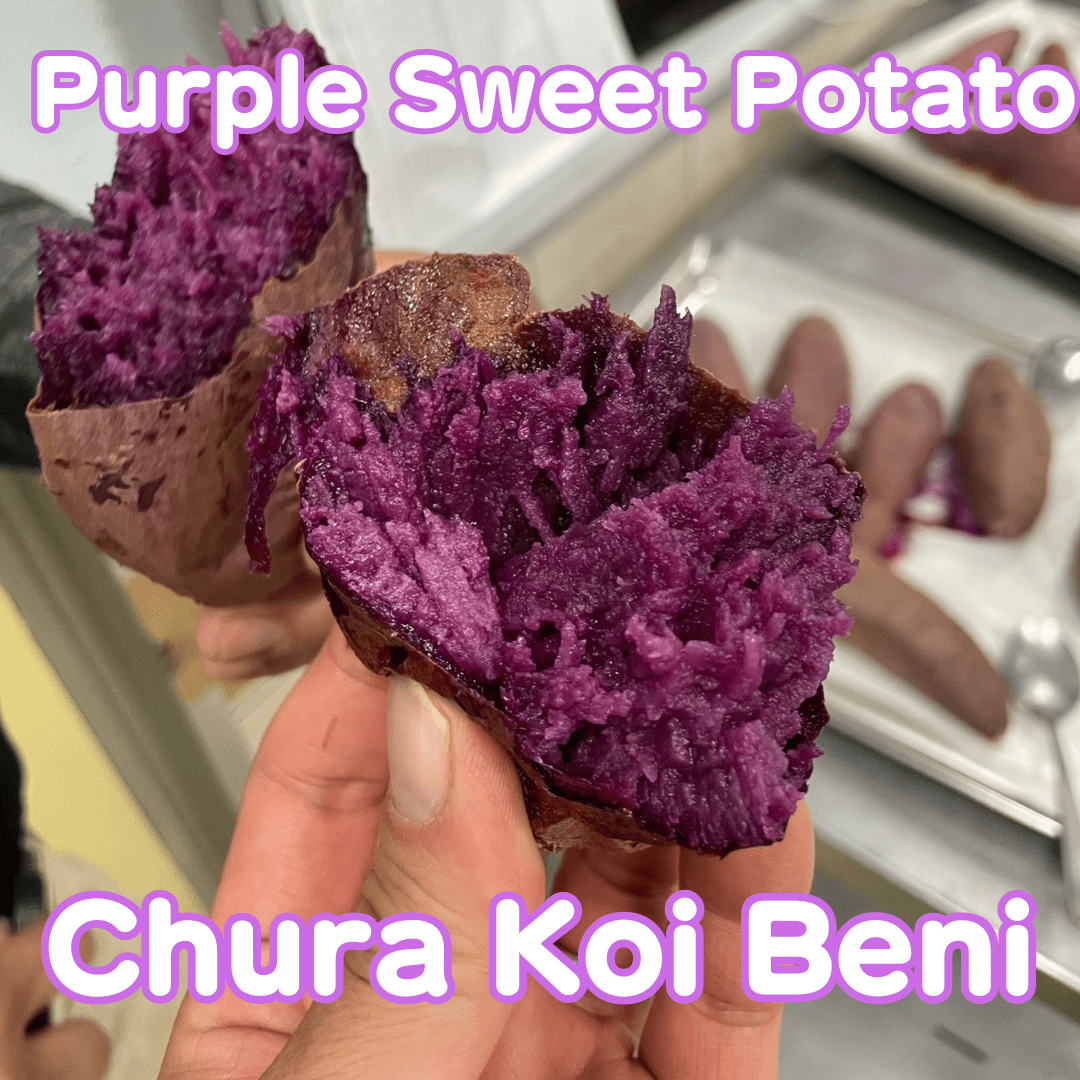 Purple Sweet Potate "Chura Koi Beni" approx.500g, [Delivery between 25th~26th Oct] - Tokyo Fresh Direct