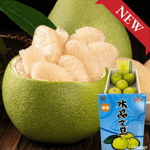 Queen of Citrus "Suishoubuntan (2L-size/High Grade)", Citrus maxima from Kochi | Delivery: 30th~31th Oct - TFD (Tokyo Fresh Direct)