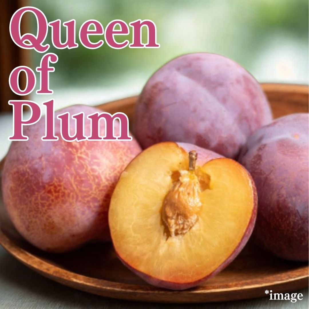 Queen of Plum "Kiyou Plum (High Grade)", from Shizuoka, 2pcs/approx.300g | Delivery: 8th~9th Aug - Tokyo Fresh Direct