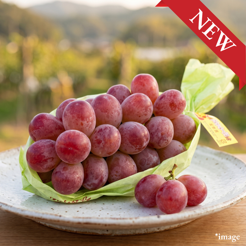 "Queen Rouge (3L-size/High Grade), Nagano-Exclusive Red Grape with Shine Muscat Heritage, Approx.500g, [Nagano Fair 2026] | Delivery: 18th-19th Sep - TFD (Tokyo Fresh Direct)