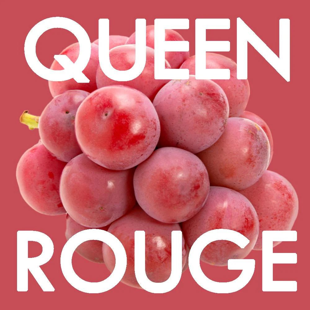 ”Queen Rouge" approx.800g - A grape sweeter than Shine Muscat from Nagano [Delivery between 4th~5th Sep] - Tokyo Fresh Direct