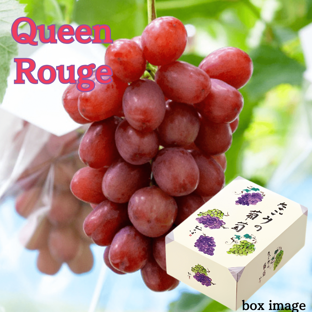 "Queen Rouge (Top Grade) Gift Box", approx.500g | Delivery: 27th~28th June - Tokyo Fresh Direct