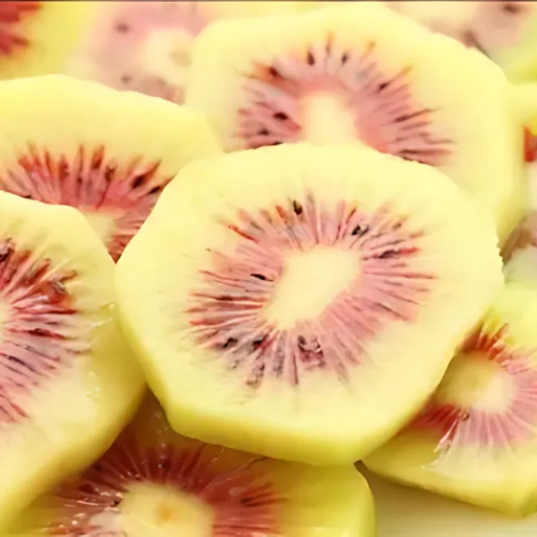 "Rainbow Red Kiwi", Ultra - Rare Kiwi – Harvested Only One Week a Year, (L Size 2pcs/approx. 240g) | Delivery: 10th - 11th Oct [limited to 10 sets] [Valued Members’ Exclusive Ultra - Rare Fruits] - Tokyo Fresh Direct