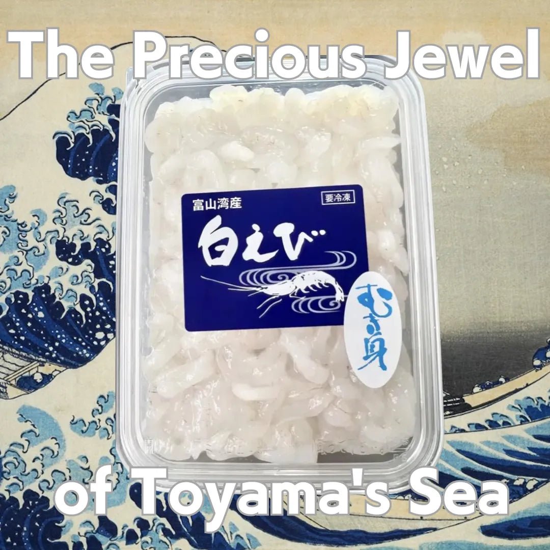 Rare White Shrimp Sashimi 80g, the Precious Jewel of Toyama's Sea [Delivery between 18th~19th Oct] - Tokyo Fresh Direct